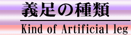義足の種類